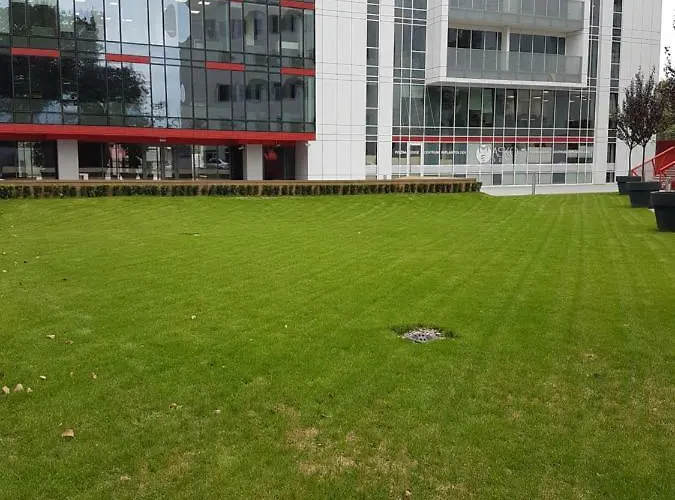 Apartman Towarowa 37 *